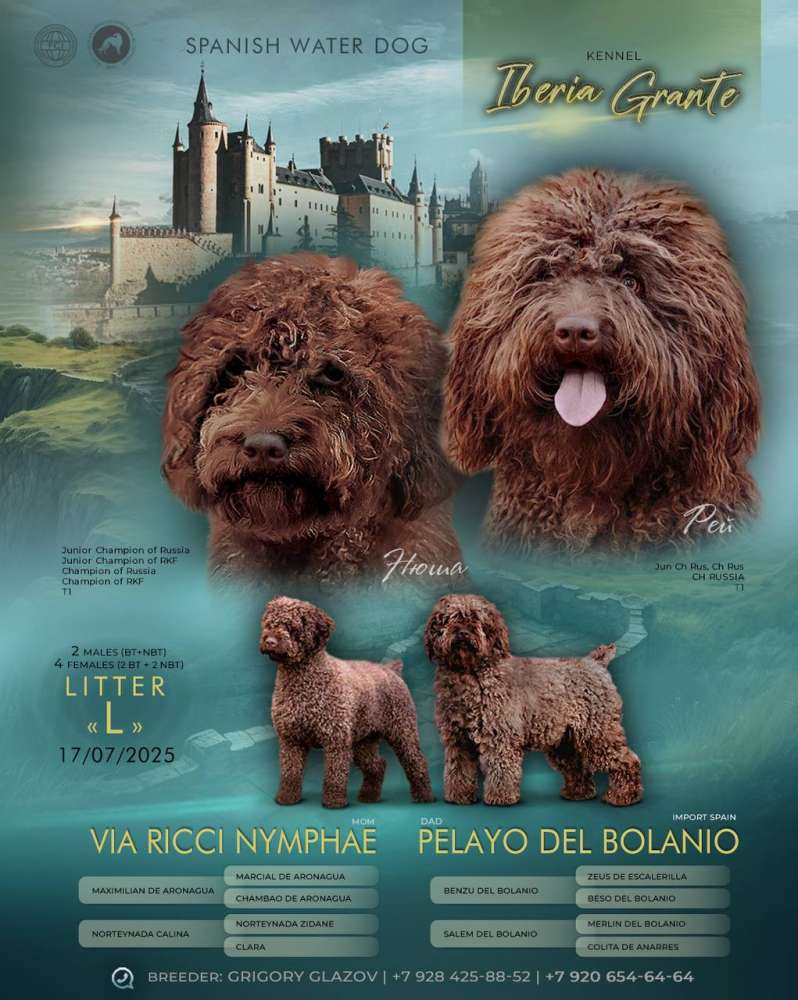 Новый помет в питомнике