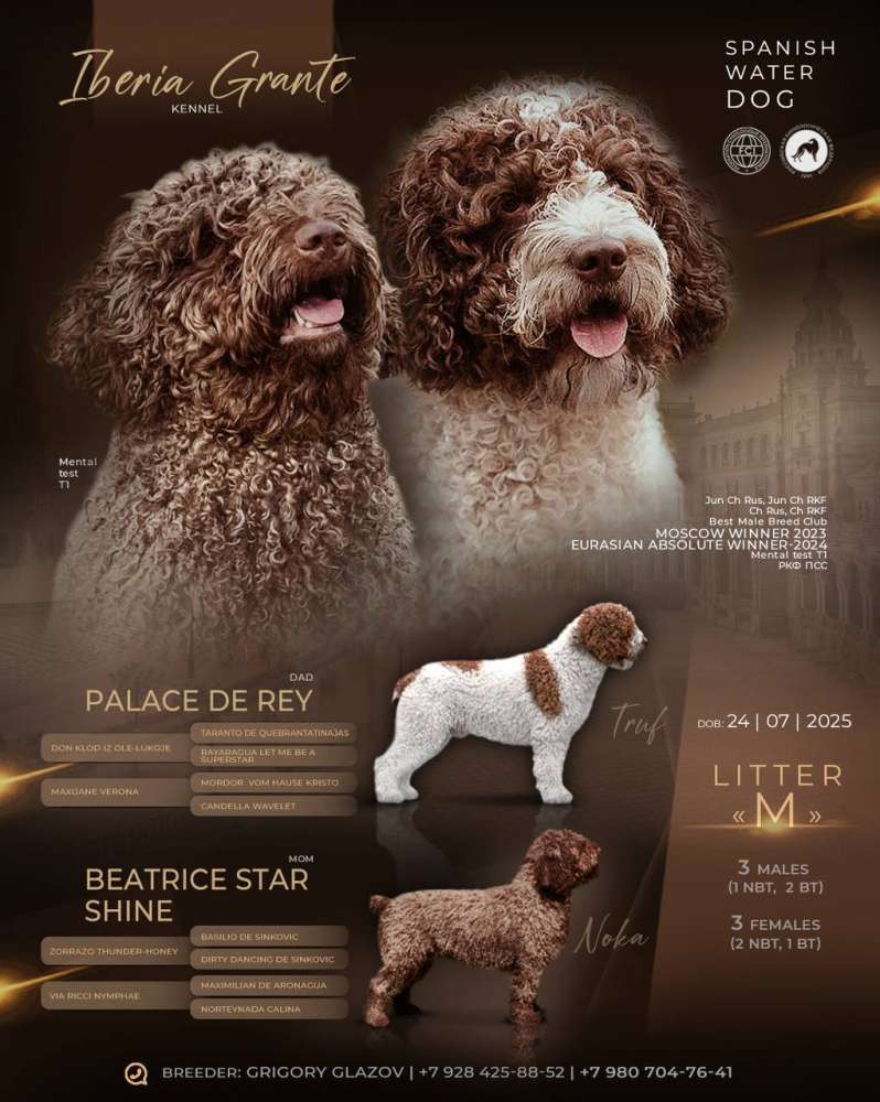 Новый помет в питомнике