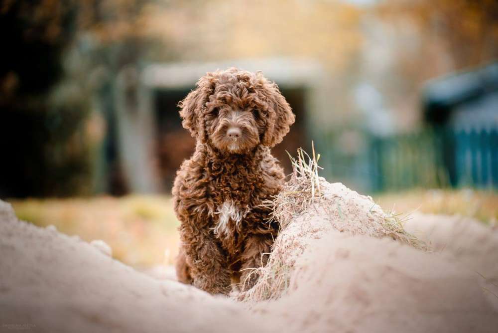 Иберия Гранте Миранда 